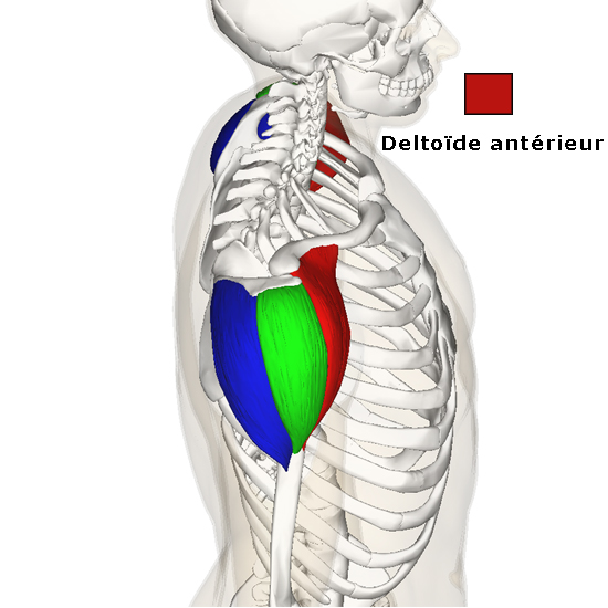 prudence points gâchettes