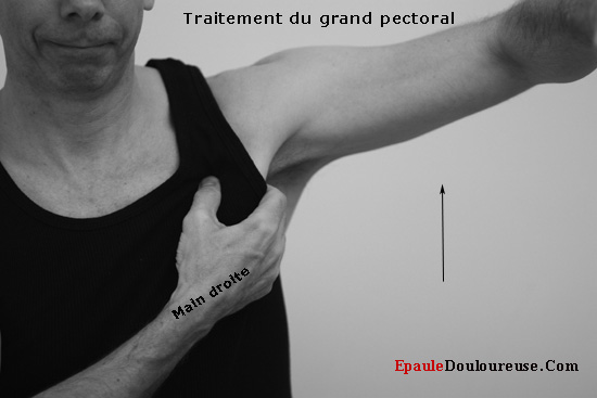 grand pectoral étirement