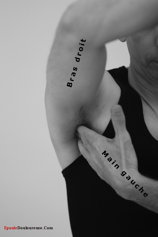 douleur épaule gauche