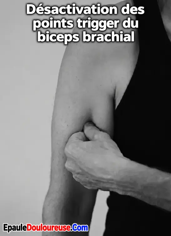 Technique d’automassage du biceps brachial
