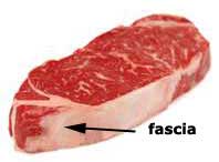 neck myofascial release