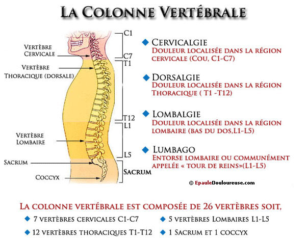 douleur au dos